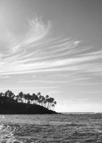 Ασπρόμαυρη Εικόνα Της Ακτής Τροπικού Νησιού Σιλουέτες Φοινίκων Στο Ηλιοβασίλεμα — Φωτογραφία Αρχείου