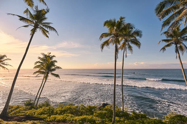 Tropická Pláž Kokosovými Palmami Při Západu Slunce — Stock fotografie