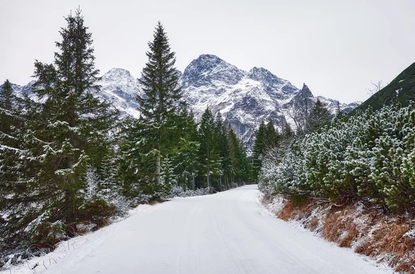 Camino Morskie Oko Ojo Del Mar Parque Nacional Tatra Polonia — Foto de Stock