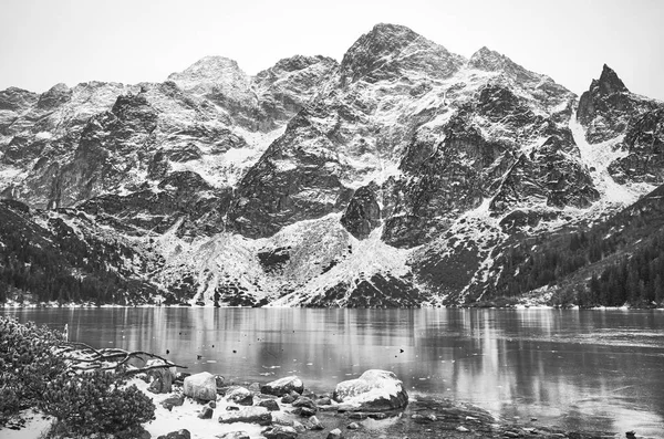 Czarno Białe Zdjęcie Zamarzniętego Jeziora Morskie Oko Tatrzańskim Parku Narodowym — Zdjęcie stockowe
