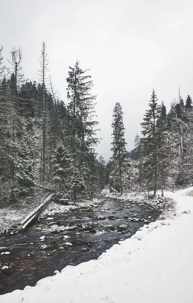 Paisagem Montanha Inverno Vale Koscieliska Tonificação Cor Aplicada Parque Nacional — Fotografia de Stock