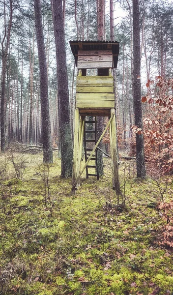 森林中的木制猎鹿塔 采用调色法 — 图库照片