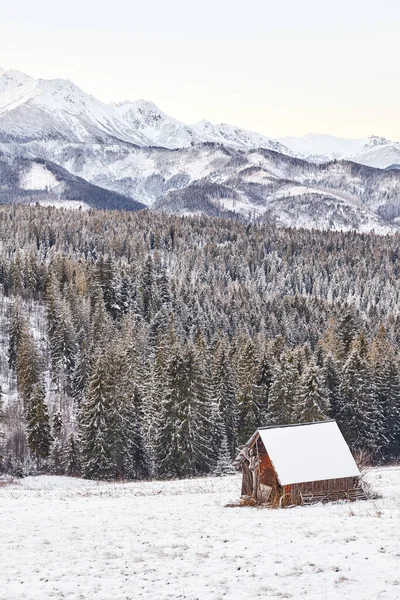 Landschaftliche Berglandschaft Winter Tatra Gebirge Polen — Stockfoto