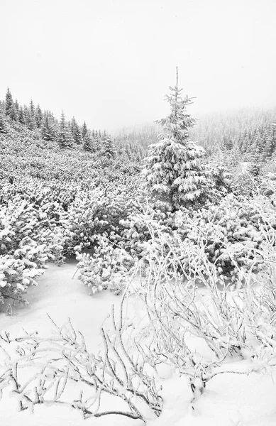 Czarno Biały Obraz Górskiego Krajobrazu Podczas Obfitych Opadów Śniegu — Zdjęcie stockowe