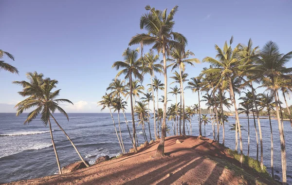 Tropická Pláž Kokosovými Palmami Při Západu Slunce Barevný Odstín — Stock fotografie