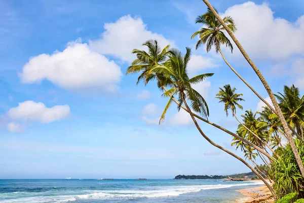 Tropikalna Plaża Palmami Kokosowymi Słoneczny Letni Dzień — Zdjęcie stockowe