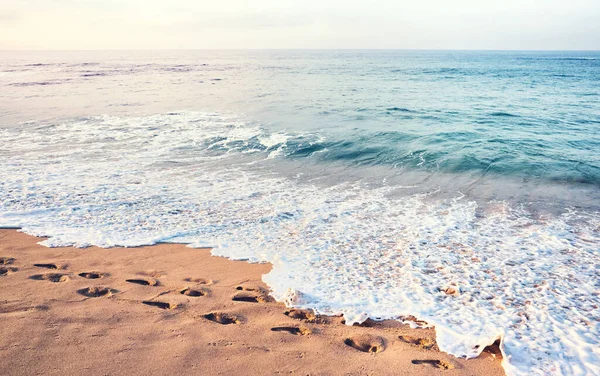 Следы Песчаном Тропическом Пляже Закате Нанесены Тонизирующие Краски — стоковое фото