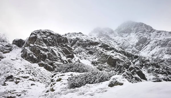 Tatra Βουνά Μια Χιονισμένη Μέρα Tatra National Park Πολωνία — Φωτογραφία Αρχείου