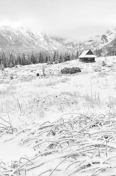 Photo Noir Blanc Vallée Gasienicowa Hala Gasienicowa Avec Cabane Bois — Photo