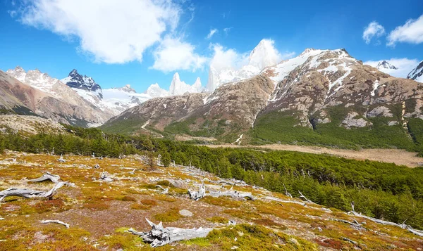 Los Glaciares National Park Landscape Fitz Roy Mountain Background Patagonia — Stock Photo, Image