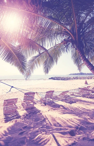 Tropical Beach Sunbeds Palm Trees Color Toned Picture — Stock Photo, Image