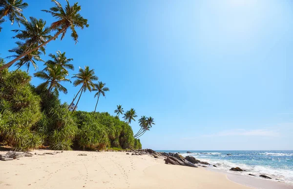 Praia Tropical Belo Dia Ensolarado Sri Lanka — Fotografia de Stock