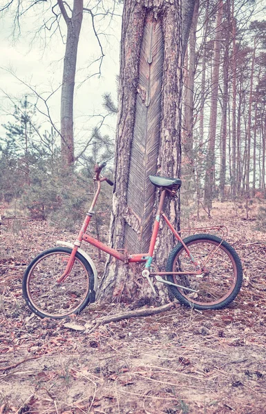Vieja Bicicleta Rota Bosque Imagen Tonificada Color —  Fotos de Stock