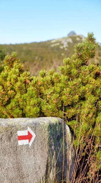 Czerwony Marker Szlaku Turystycznego Skale Wybiórczy Karkonoski Park Narodowy Polska — Zdjęcie stockowe