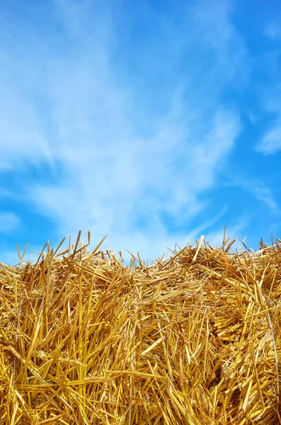 Haystack Contra Céu Azul Dia Ensolarado — Fotografia de Stock