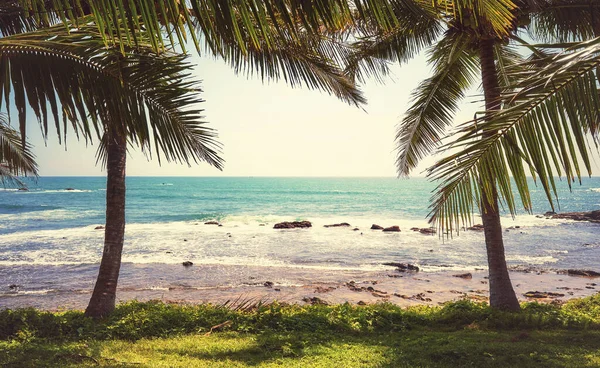 Güneşli Bir Yaz Gününde Tropik Bir Sahilde Palmiye Ağaçları Renk — Stok fotoğraf