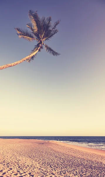 Imagen Retro Tonificada Una Playa Tropical Vacía Con Palmera Coco — Foto de Stock