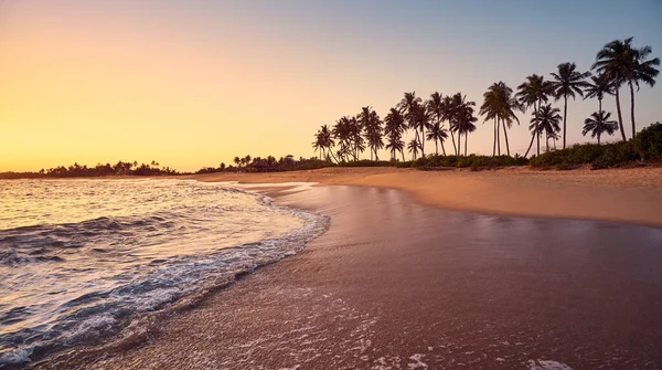 Vista Panorâmica Uma Praia Tropical Pôr Sol — Fotografia de Stock