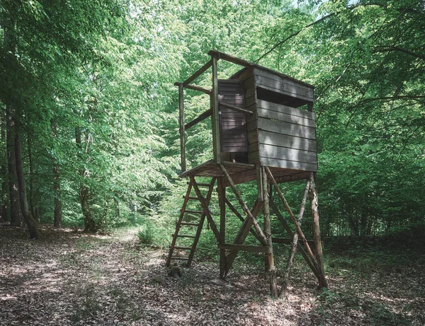 Wooden deer hunting blind in a forest, color toning applied.