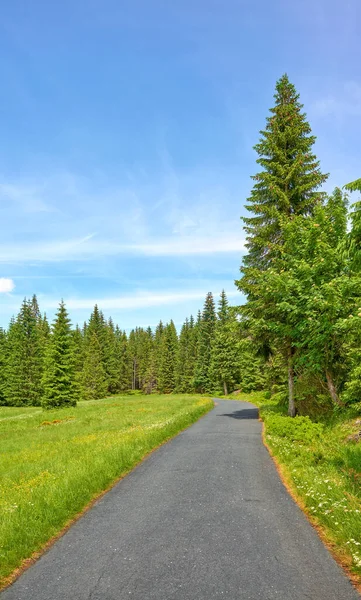 Scenic Road Jizera Mountains Bij Jakuszyce Polen — Stockfoto