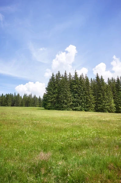 Izera Berg Landskap Solig Sommardag Polen — Stockfoto