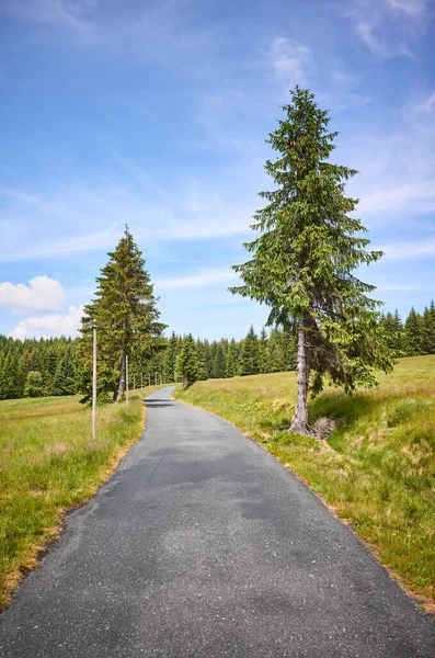 Asfaltweg Het Izeragebergte Een Zonnige Zomerdag Polen — Stockfoto