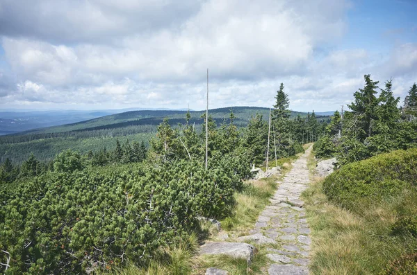 Stone Path Trail Karkonosze Giant Mountains Czech Republic — Stock Photo, Image