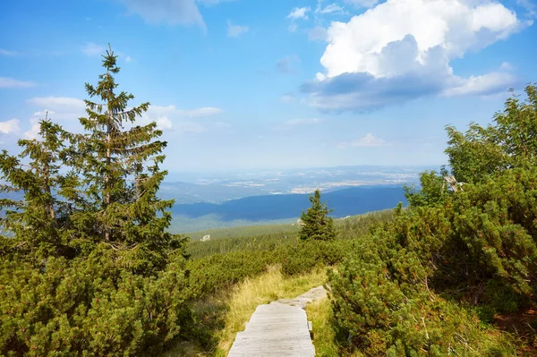 Holzbrücke Riesengebirge Polen — Stockfoto