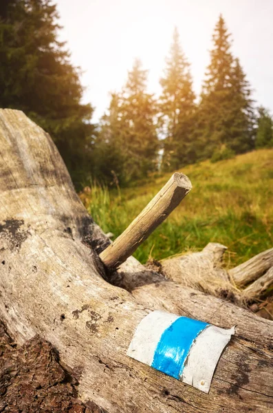 Foto Ravvicinata Segnavia Blu Tronco Albero Attenzione Selettiva Karkonosze Mountains — Foto Stock