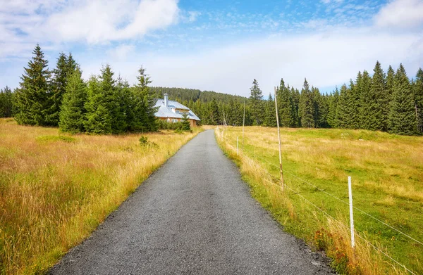 Camino Asfalto Las Montañas Gigantes Karkonosze República Checa —  Fotos de Stock