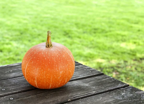 Pumpkin on a grunge wooden table in garden. — Stock Photo, Image