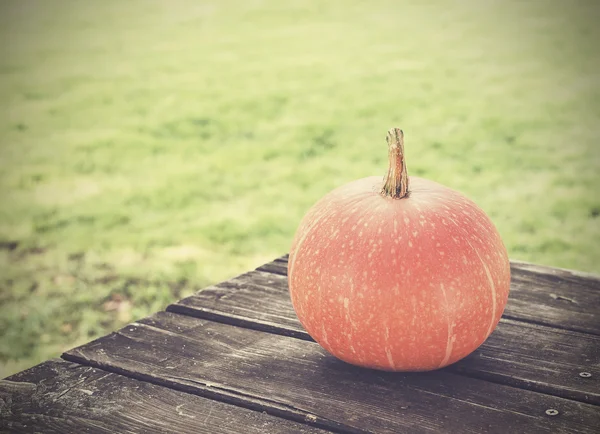 Vintage picture of pumpkin on a grunge wooden table in garden. — Stock Photo, Image