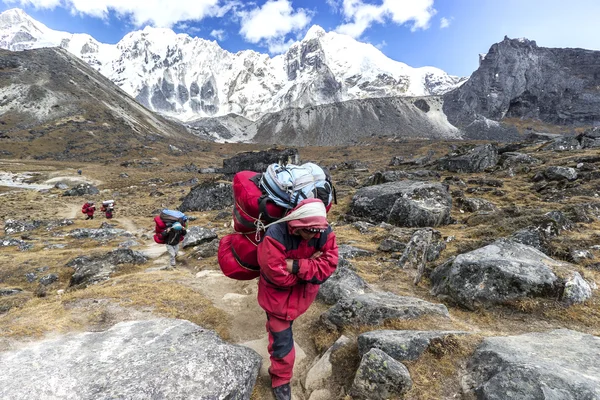 Портеры с тяжелым грузом после пересечения Чо Ла Пасс в Гималаях . — стоковое фото