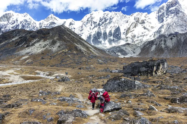 Портеры с тяжелым грузом после пересечения Чо Ла Пасс в Гималаях . — стоковое фото