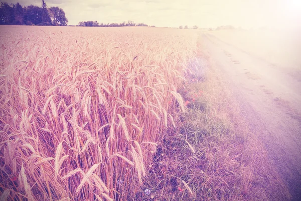 Vintage foto da estrada lateral através do campo ao pôr do sol . — Fotografia de Stock