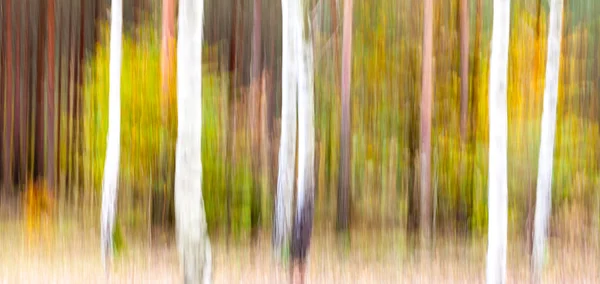 Movimento astratto alberi offuscati in una foresta . — Foto Stock