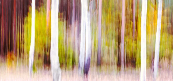 Abstracte beweging wazig bomen in een forest. — Stockfoto