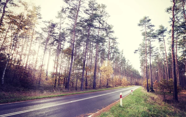 Vintage retro styled picture of a road in forest. — Stock Photo, Image