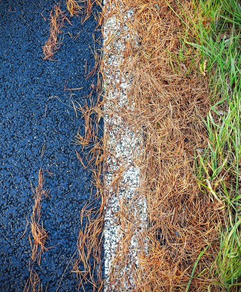 Aiguilles de conifères sur route asphaltée, fond abstrait . — Photo