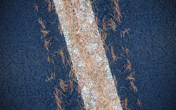Agujas de coníferas en camino de asfalto, fondo abstracto . — Foto de Stock