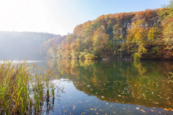 Colorful autumn landscape with a lake. — Stock Photo, Image