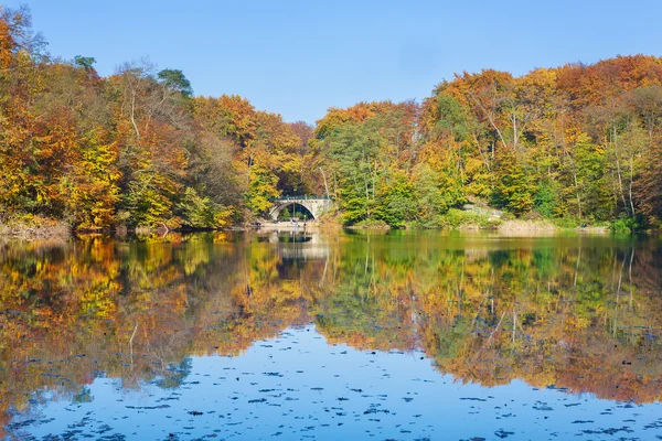 Colorful autumn landscape with reflection in a lake. — Stock Photo, Image