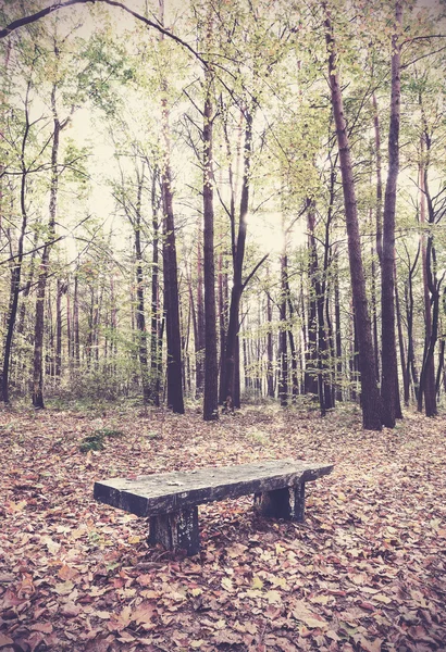 Retro filtrovaný obrázek lavičce v lese. — Stock fotografie
