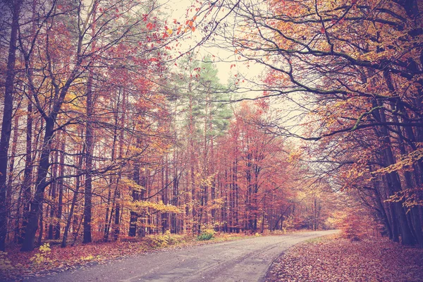 Imagen filtrada retro de una carretera en bosque otoñal . —  Fotos de Stock