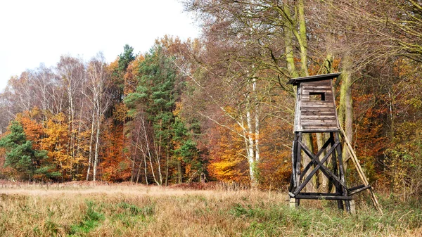 Vista panorâmica de um púlpito de caça no outono . — Fotografia de Stock