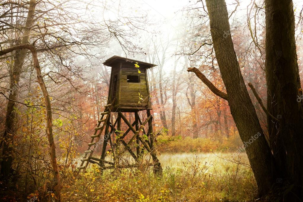Hunting pulpit in forest at sunrise, Poland. — Stock Photo