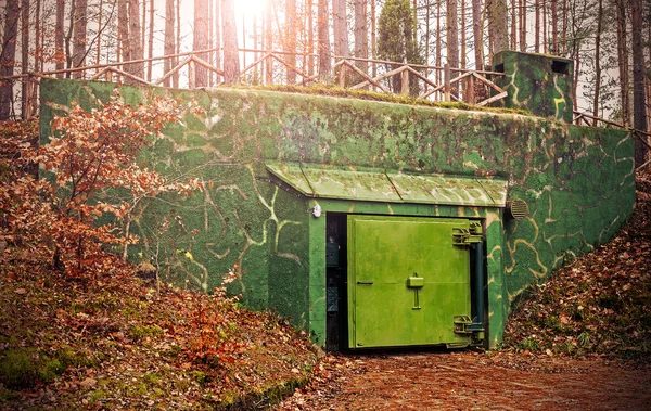 Immagine retrò filtrata di un bunker nascosto nella foresta . — Foto Stock