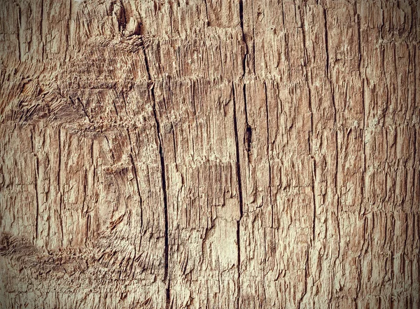 Old weathered rough wood background or texture. — Stock Photo, Image