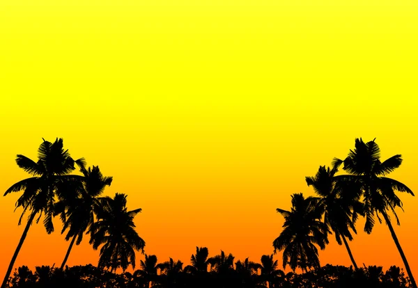 Palms silhouettes at sunset, background with space for text. — Stock Photo, Image