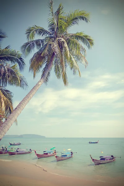 Vintage toned palm trees on a beach, summer background. — Stock Photo, Image